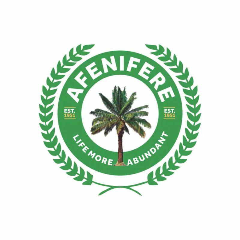 Afenifere tells politicians to shun violence as 2027 elections nears.
