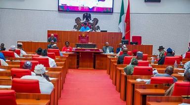 Members of the Nigerian Senate in session during a past ministerial screening.
