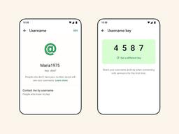 How to create and reserve your WhatsApp username in minutes.
