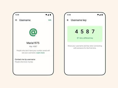 How to create and reserve your WhatsApp username in minutes.
