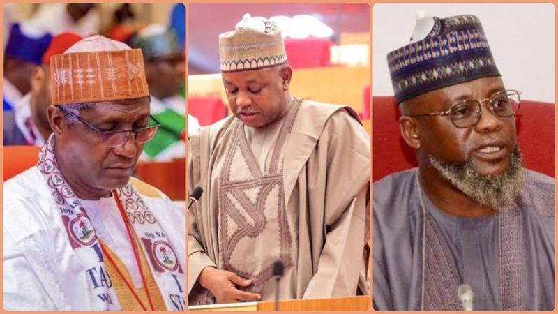 Collage of Senators from Katsina State in the 10th National Assembly. 