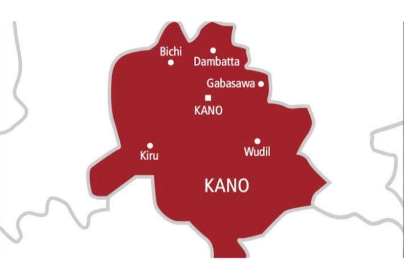 The new security personnel in Kano will be authorised to carry arms and make arrests to tackle rising crime in the state. 