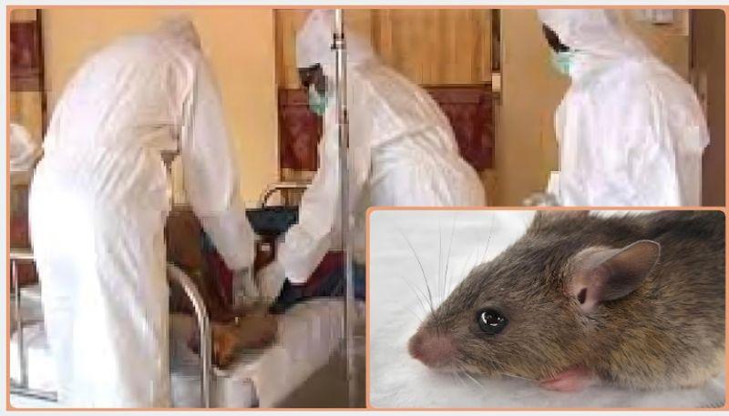 Nigeria Centre for Disease Control (NCDC) intensified efforts in controlling Lassa fever after a physician's death from the disease. 