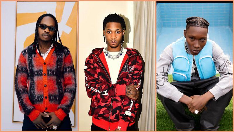 Nigerian dancer Idowu Emmanuel, known as Lil Smart, shares evidence alleging that Naira Marley and Zinoleesky assaulted him 
