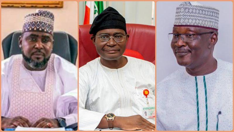 Collage of the representatives of Adamawa people in the 10th National Assembly.