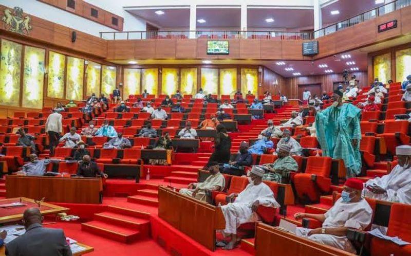 Senate members questioned ministerial nominees during the screening session.