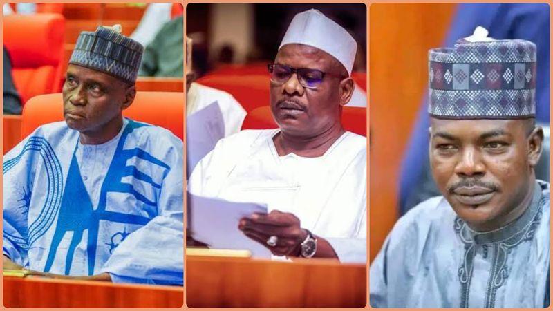 Collage of the three senators representing Borno State in the 10th National Assembly.