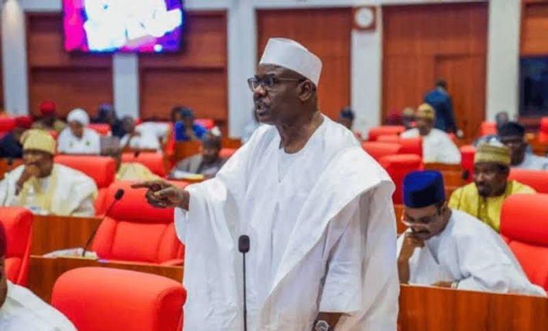 Senator Ali Ndume called on the Senate to allow Uchenna Ubah, widow of the late Ifeanyi Ubah, to take his place in the Senate.