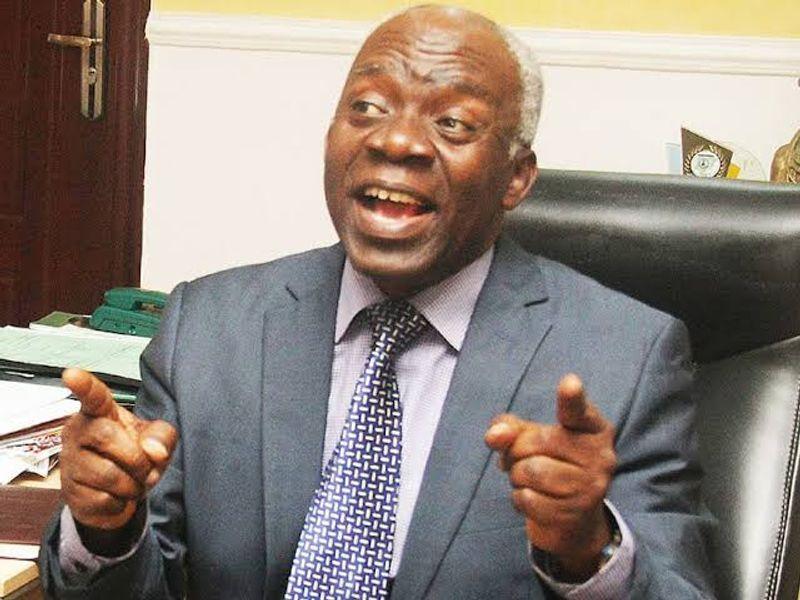 Femi Falana condemned police negligence in food stampede deaths.