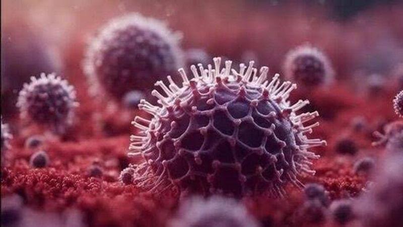 Nigeria intensified airport screenings for Human Metapneumovirus (HMPV) following global outbreaks, including in China and the UK.