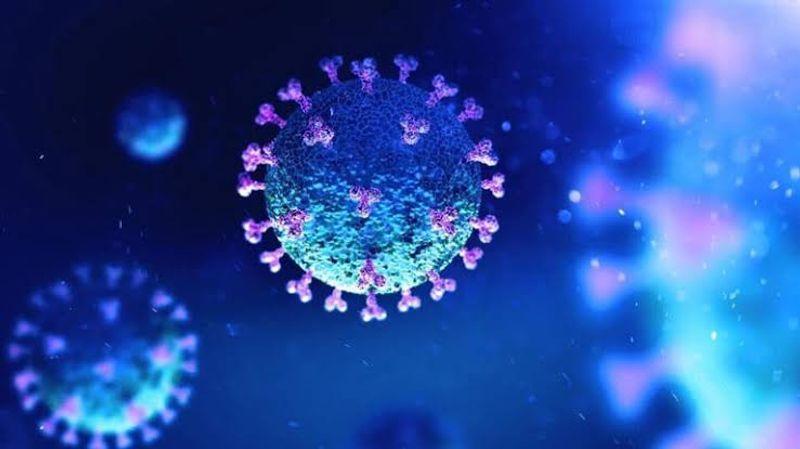 Lagos, Abuja, and other high-traffic states were prioritised in Human Metapneumovirus (HMPV) screening efforts.