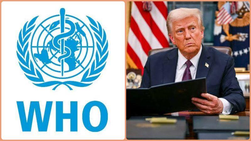 The World Health Organisation (WHO) responded to the United States’ decision to withdraw from the organisation. 