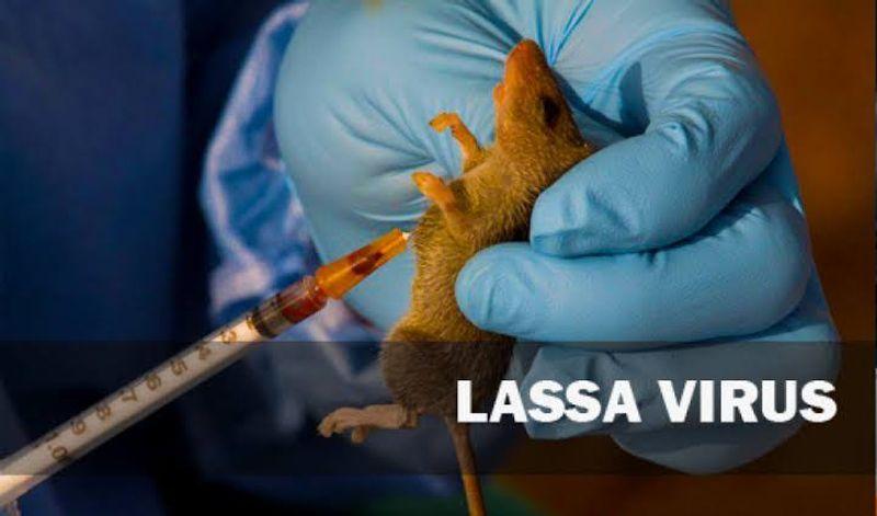 Nigeria Centre for Disease Control and Prevention (NCDC) report highlighted states affected by Lassa fever in 2025.