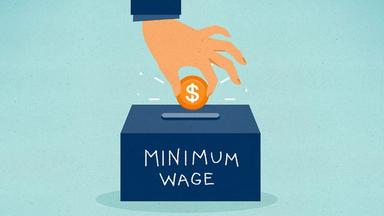 Private employers caution against blanket N100,000 wage implementation.

