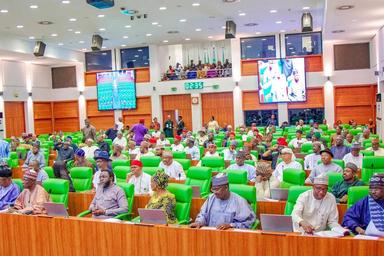 Members of the Nigerian House of Representatives discussing the audit of public borrowing during a recent session.
