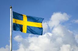 Sweden launches 2026 scholarship programme for international professionals.
