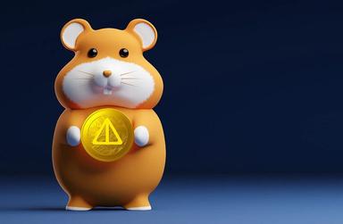 Hamster Kombat loses 260 million users in 90 days, as $HMSTR token price crashes by 72%
