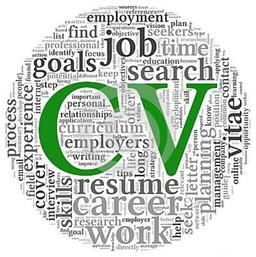 Professional CV displayed on a laptop alongside a notebook and pen on a tidy desk.
