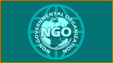 How smart Nigerians are building wealth through NGO.
