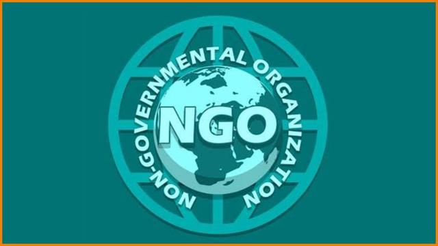 How smart Nigerians are building wealth through NGO.
