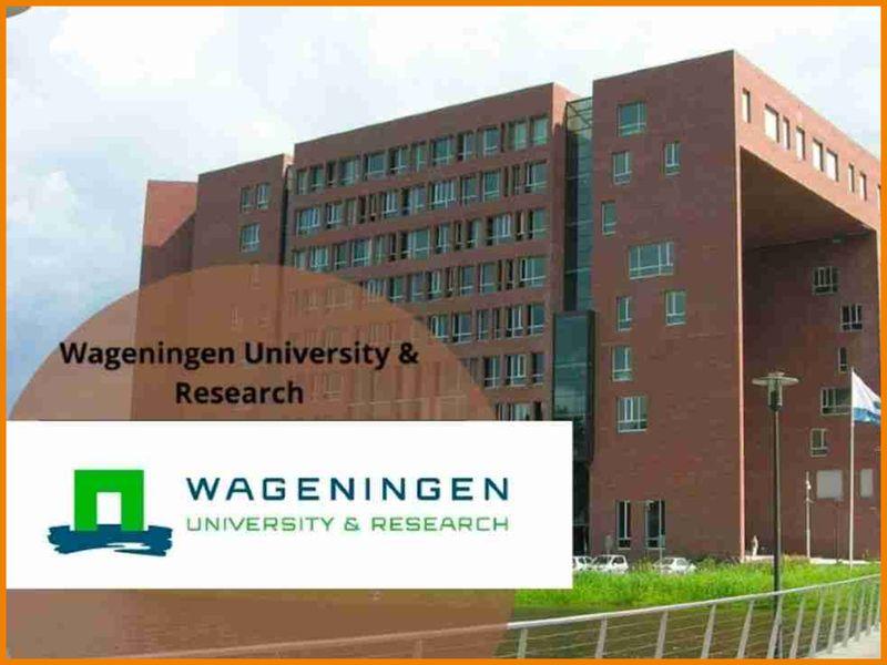 The 2025 Africa scholarship programme at Wageningen University is open to African students, including Nigerians. 
