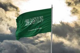 Saudi Arabia strengthens enforcement against illegal employment and permit violations.
