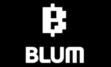 Blum coin is one of fast-growing meme coins in the crypto space. Credit: Haberler