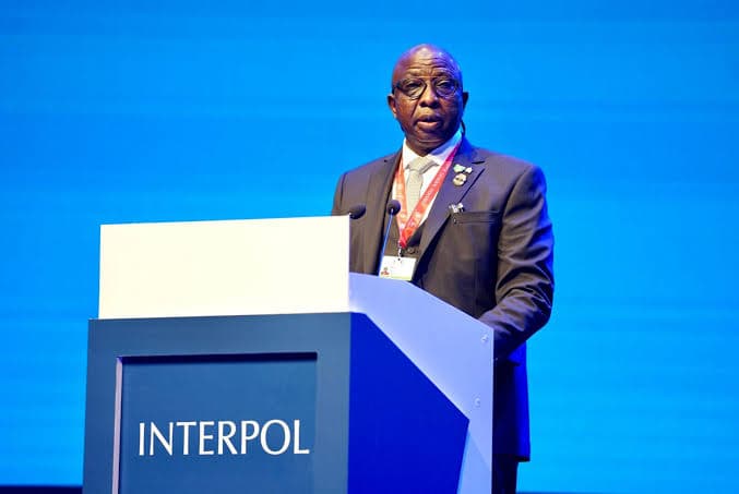 Interpol reports that Nigeria loses thousands of dollars to laundering every hour