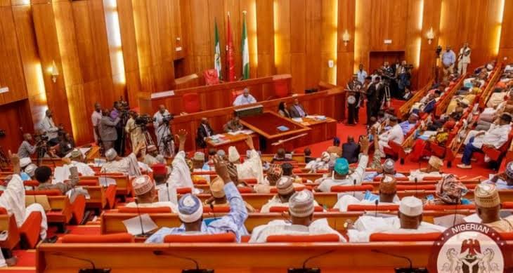 Senate rebukes 15 entities for ignoring audit queries.
