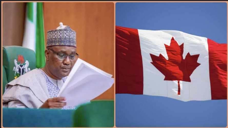 Nigerian lawmakers have petitioned the Canadian High Commissioner over Amaka Patience Sunnberger's threats inciting violence and genocide.
