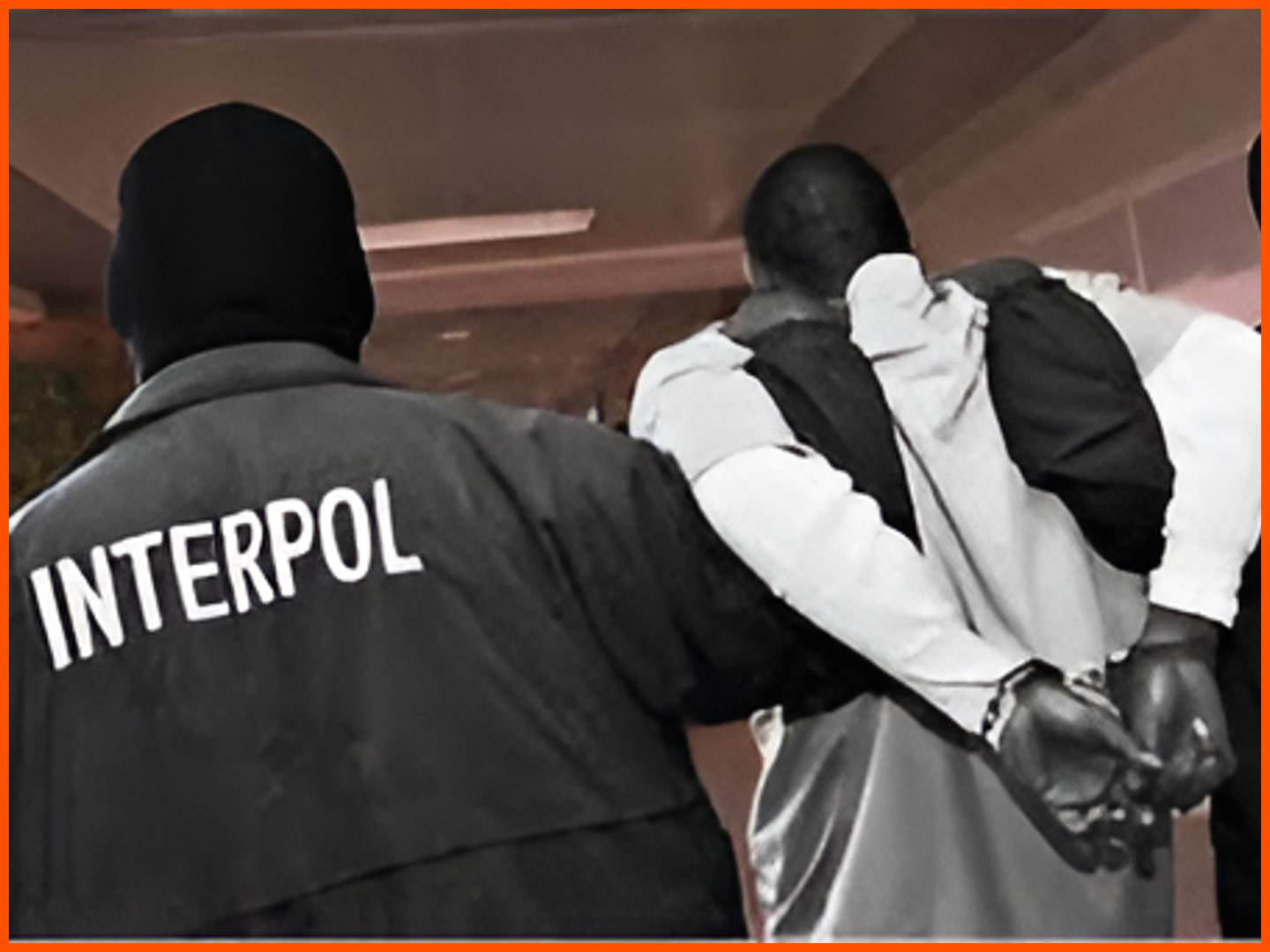 INTERPOL launched Operation Jackal III, which ran across 21 countries on five continents and targeted online financial fraud and West African syndicates behind it.
