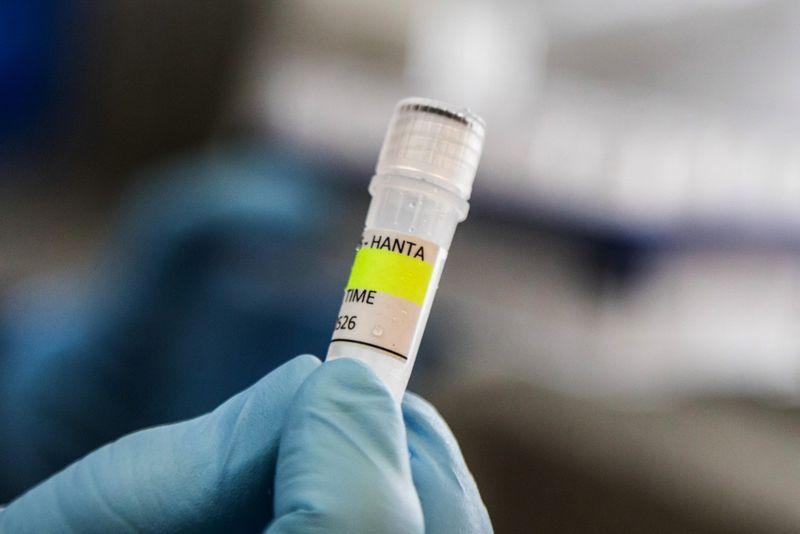 Medical personnel supervise passengers during the evacuation of the MV Hondius cruise ship in Tenerife following hantavirus concerns.