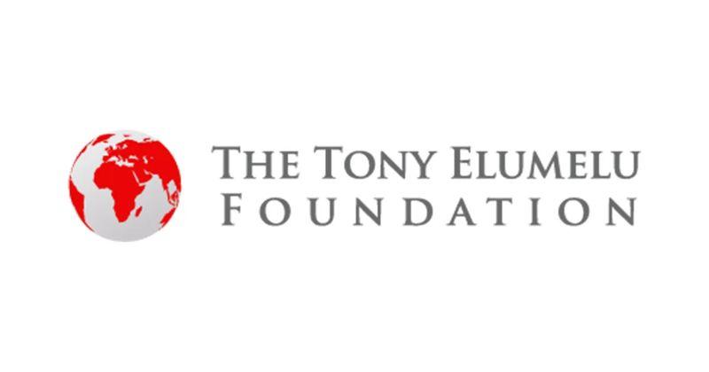 Entrepreneurs across Africa celebrating opportunities through the Tony Elumelu Foundation Entrepreneurship Programme, with seed funding and training support.
