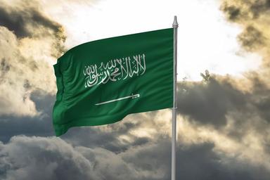 Saudi Arabia strengthens enforcement against illegal employment and permit violations.